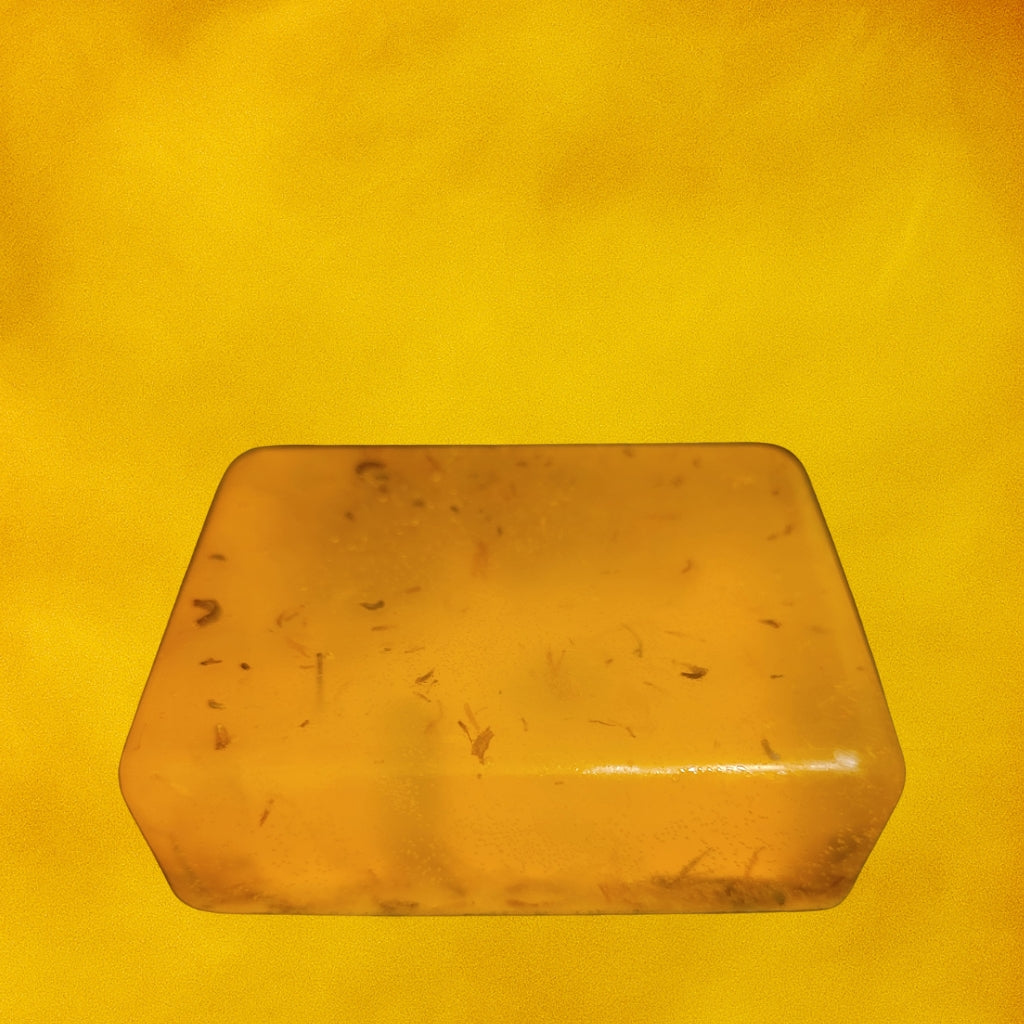 🌞 Sun-Kissed Escapes