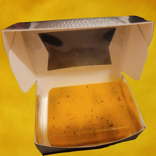 🌞 Sun-Kissed Escapes